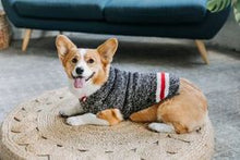 Load image into Gallery viewer, SALE! Wool Boyfriend Dog Sweater