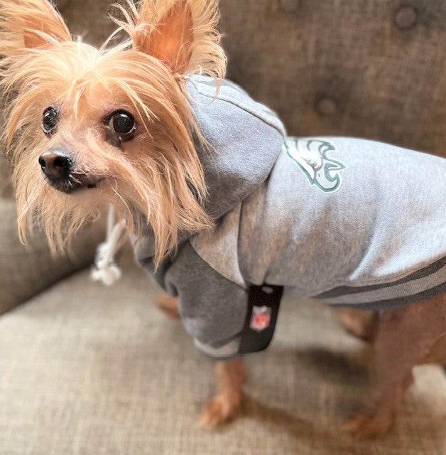 EAGLES NFL Team Hoodie – Paw Dazzle Pet Bakery and Boutique