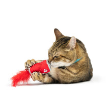 Load image into Gallery viewer, Lil' Pooper Cat Toy