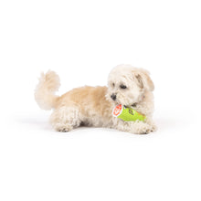 Load image into Gallery viewer, Tiny Tuff Puggles Can