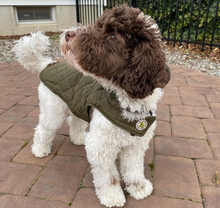 Load image into Gallery viewer, Diamond Quilted Coat
