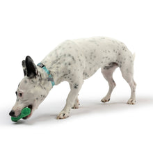 Load image into Gallery viewer, Tiny Tuff Dell Pickle