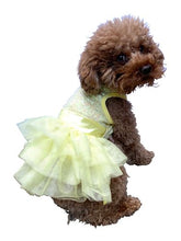 Load image into Gallery viewer, Tutu dress yellow