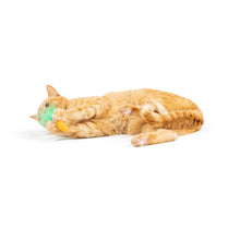 Load image into Gallery viewer, Hoppy Easter 2pk Cat Toy
