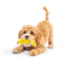 Load image into Gallery viewer, Tiny Tuff Bruiser Banana