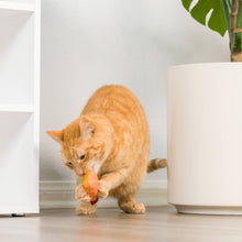 Load image into Gallery viewer, Hairball Cinnamon Whisky Cat Toy