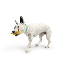 Load image into Gallery viewer, Tiny Tuff Bruiser Banana