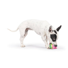 Load image into Gallery viewer, Tiny Tuff Walter Melon