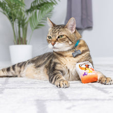 Load image into Gallery viewer, Go Fish Phishy Cat Toy
