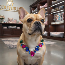 Load image into Gallery viewer, Colored Glass Chain Linked Dog &amp; Cat Pet Collar