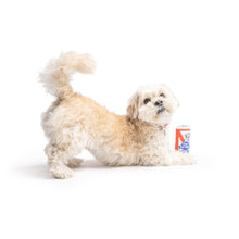 Load image into Gallery viewer, Tiny Tuff Pups Belly Rubbin