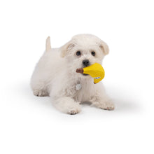 Load image into Gallery viewer, Tiny Tuff Bruiser Banana