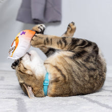 Load image into Gallery viewer, Go Fish Phishy Cat Toy