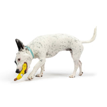 Load image into Gallery viewer, Tiny Tuff Bruiser Banana