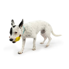 Load image into Gallery viewer, Tiny Tuff Bruiser Banana