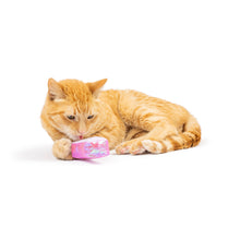 Load image into Gallery viewer, Hoppy Easter 2pk Cat Toy