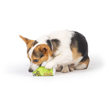 Load image into Gallery viewer, Tiny Tuff Puggles Can