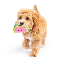 Load image into Gallery viewer, Tiny Tuff Walter Melon