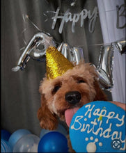 Load image into Gallery viewer, Celebration Station - Birthday Cakes