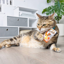 Load image into Gallery viewer, Go Fish Phishy Cat Toy