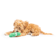 Load image into Gallery viewer, Tiny Tuff Dell Pickle