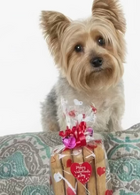 Load image into Gallery viewer, Apple &amp; Peanut Butter Valentines Gift Bag