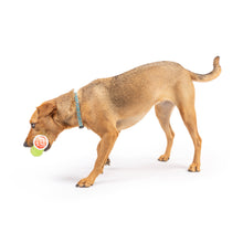 Load image into Gallery viewer, Tiny Tuff Puggles Can