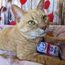 Load image into Gallery viewer, Kitty Klaw Clawberry Cat Toy