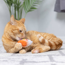 Load image into Gallery viewer, Go Fish Phishy Cat Toy