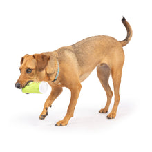 Load image into Gallery viewer, Tiny Tuff Puggles Can
