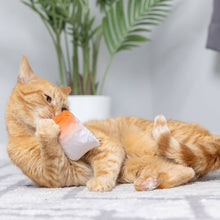 Load image into Gallery viewer, Go Fish Phishy Cat Toy