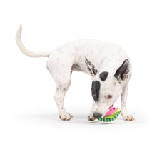 Load image into Gallery viewer, Tiny Tuff Walter Melon