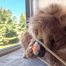 Load image into Gallery viewer, Classic Sushi Cat Toy