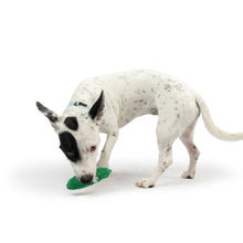 Load image into Gallery viewer, Tiny Tuff Dell Pickle
