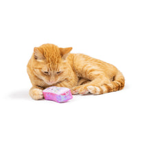 Load image into Gallery viewer, Hoppy Easter 2pk Cat Toy