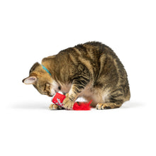 Load image into Gallery viewer, Lil' Pooper Cat Toy