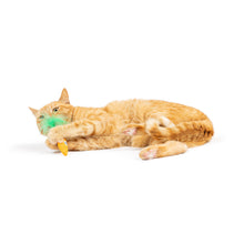Load image into Gallery viewer, Hoppy Easter 2pk Cat Toy