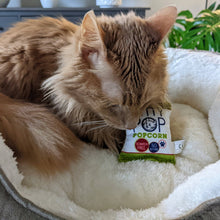 Load image into Gallery viewer, Kitty Pop Cat Toy