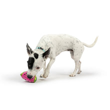 Load image into Gallery viewer, Tiny Tuff Walter Melon