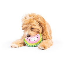 Load image into Gallery viewer, Tiny Tuff Walter Melon