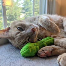 Load image into Gallery viewer, Pickle Cat Toy